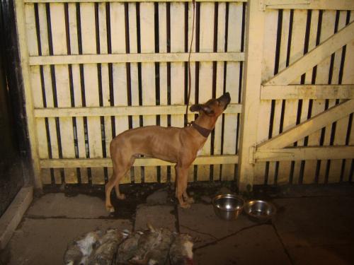 post-38835-016400900 1282577491_thumb.jpg