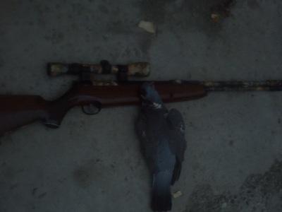 post-42874-027275500 1283170747_thumb.jpg