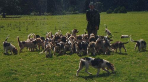 post-43223-077477000 1281095002_thumb.jpg