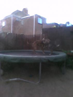 post-43853-050405600 1281379101_thumb.jpg