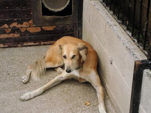 post-44215-088451000 1281521717_thumb.jpg