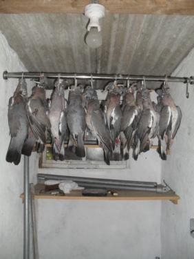 post-4425-072495200 1281302304_thumb.jpg