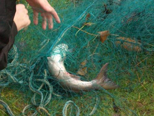 post-47340-021174800 1282794232_thumb.jpg