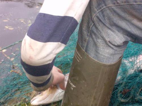 post-47340-030620700 1282794217_thumb.jpg