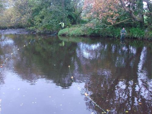 post-47340-070876800 1282794210_thumb.jpg