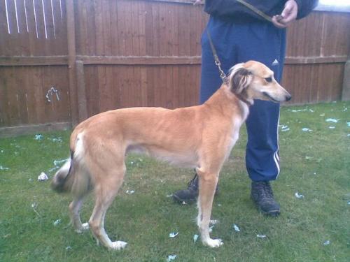 post-48269-052603300 1281518383_thumb.jpg