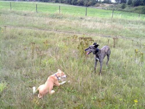 post-49018-016321600 1281789748_thumb.jpg