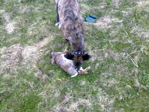 post-49018-058282400 1281789926_thumb.jpg