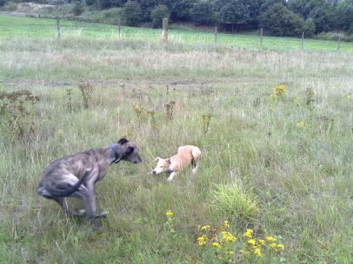 post-49018-059209600 1281789958_thumb.jpg