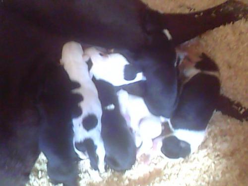 post-49562-022419000 1281352627_thumb.jpg