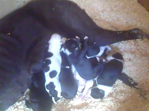 post-49562-048139200 1281352616_thumb.jpg