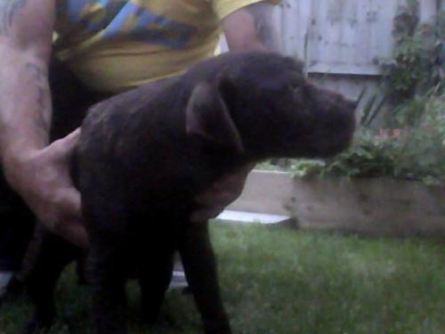 post-49562-049556600 1281124801_thumb.jpg