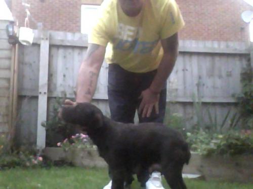 post-49562-073331700 1281124848_thumb.jpg