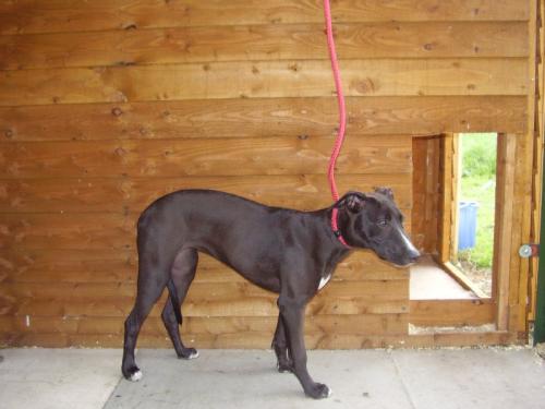 post-51717-076616200 1280669199_thumb.jpg