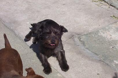 post-8033-088647600 1281946178_thumb.jpg