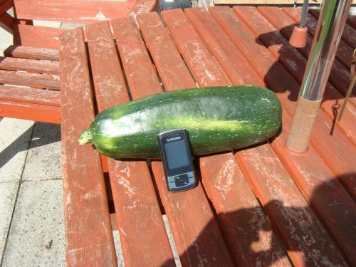 post-20256-0-93903600-1312542769_thumb.jpg