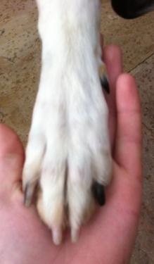 post-63688-0-57908200-1312293879_thumb.jpg