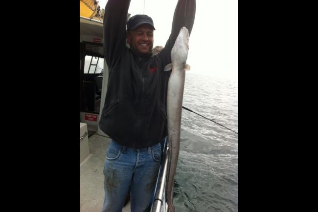 post-50738-0-25385200-1377962993_thumb.j