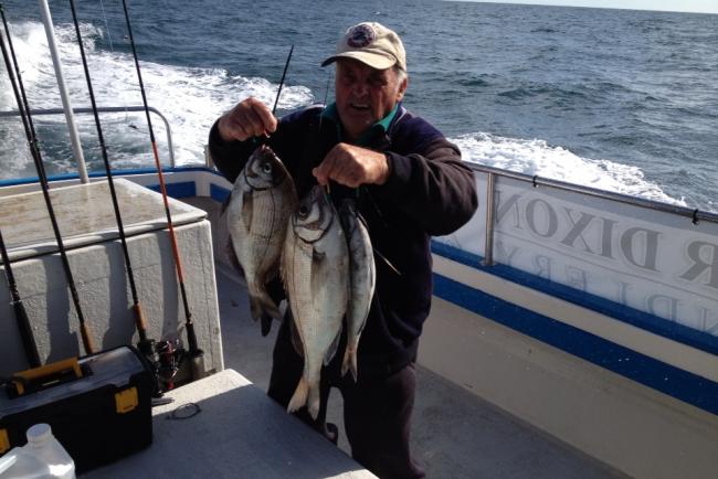 post-50738-0-33613800-1377962971_thumb.j