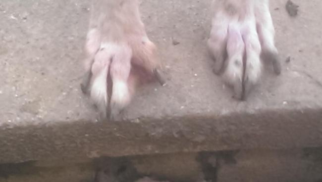 post-734-0-48309500-1472663001_thumb.jpg