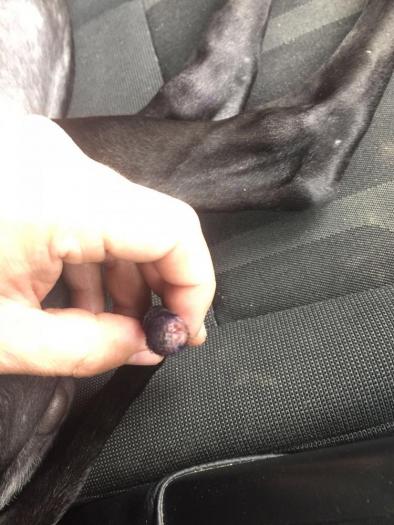 post-103082-0-58017800-1474555140_thumb.jpg