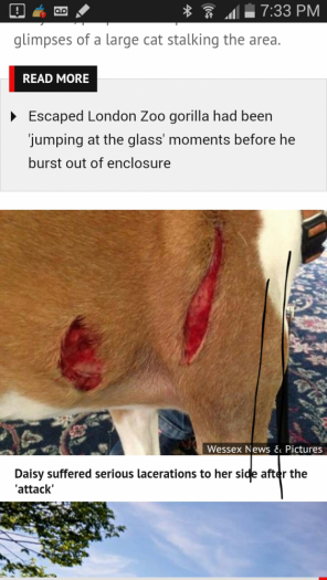 post-92363-0-16694800-1476556603_thumb.png