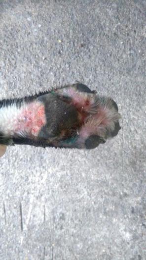 post-104305-0-36019700-1479916410_thumb.jpg