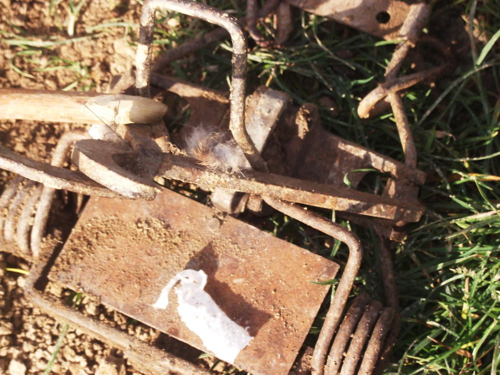 DSCF3786.JPG