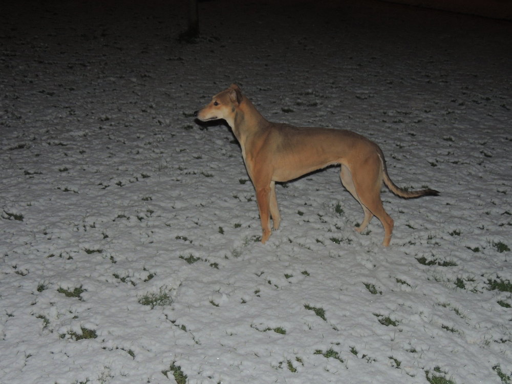 camera 218.JPG