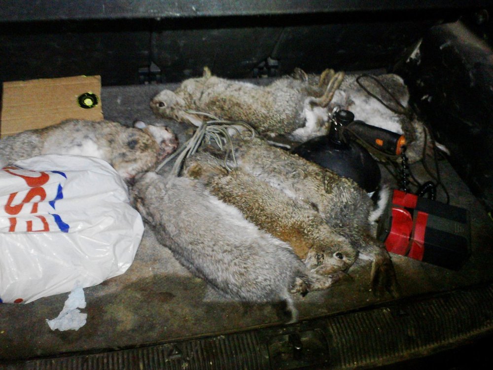 P281112_22.54_[01].jpg