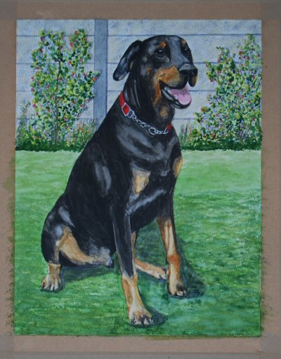 Dobermancrop.jpg.b1166105ba6aeaea26d4c9ec6c472419.jpg