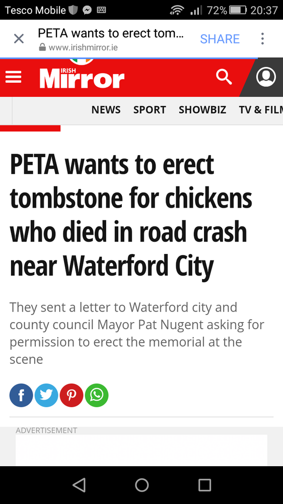 Screenshot_2018-04-24-20-37-03.png