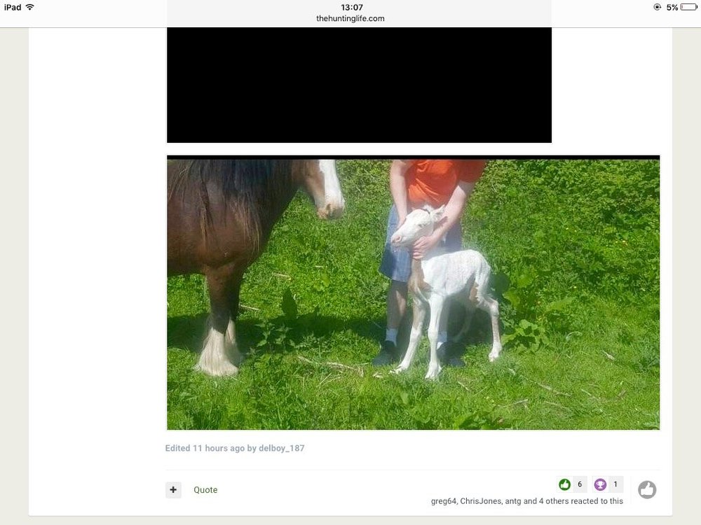image.jpeg