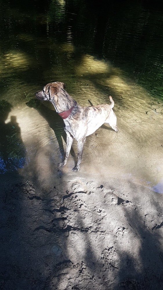 20180623_090437.jpg