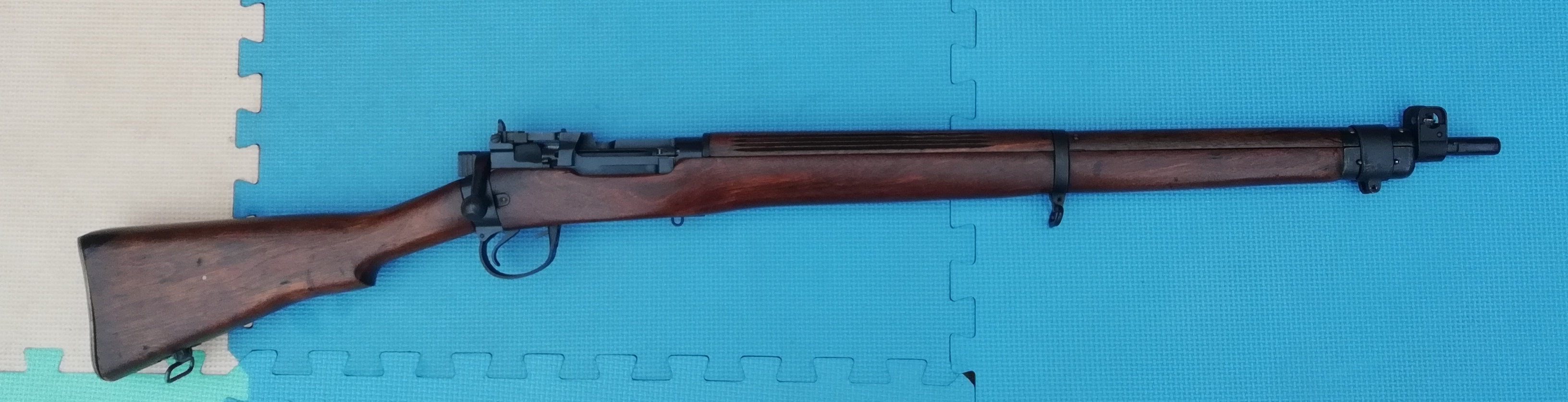 Lee Enfield .410