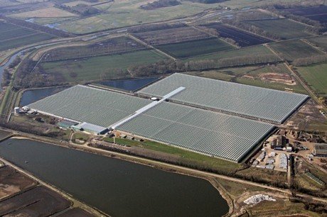 british-sugar-greenhouse-aerial.jpg.332f9d1abc459afd60f99d81768ffeb2.jpg