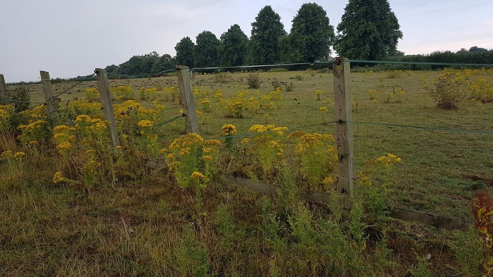 20180727_090341.jpg