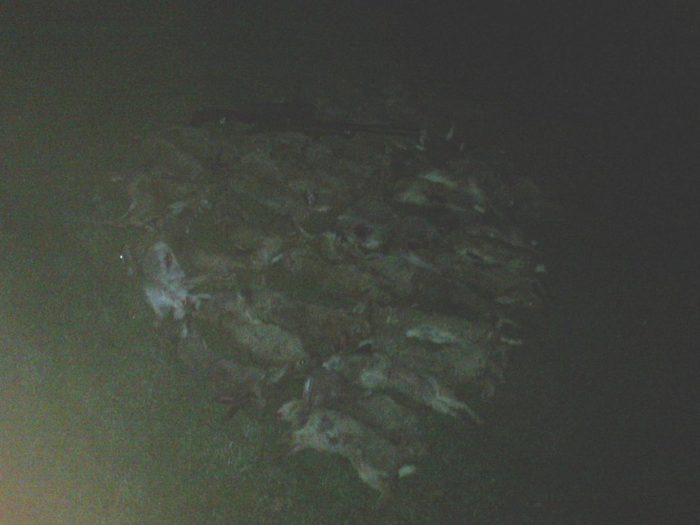 P200613_02.14.jpg
