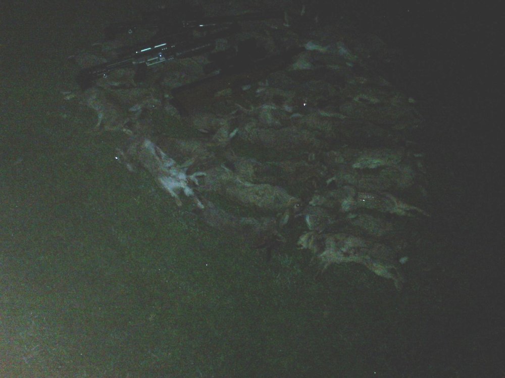 P200613_02.16.jpg
