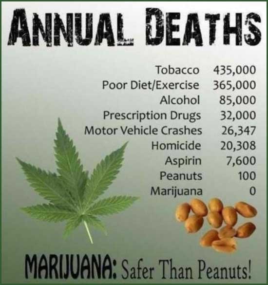 SaferThanPeanuts.jpg.c8d954b85c35d0c9a980af7a0b7266e6.jpg