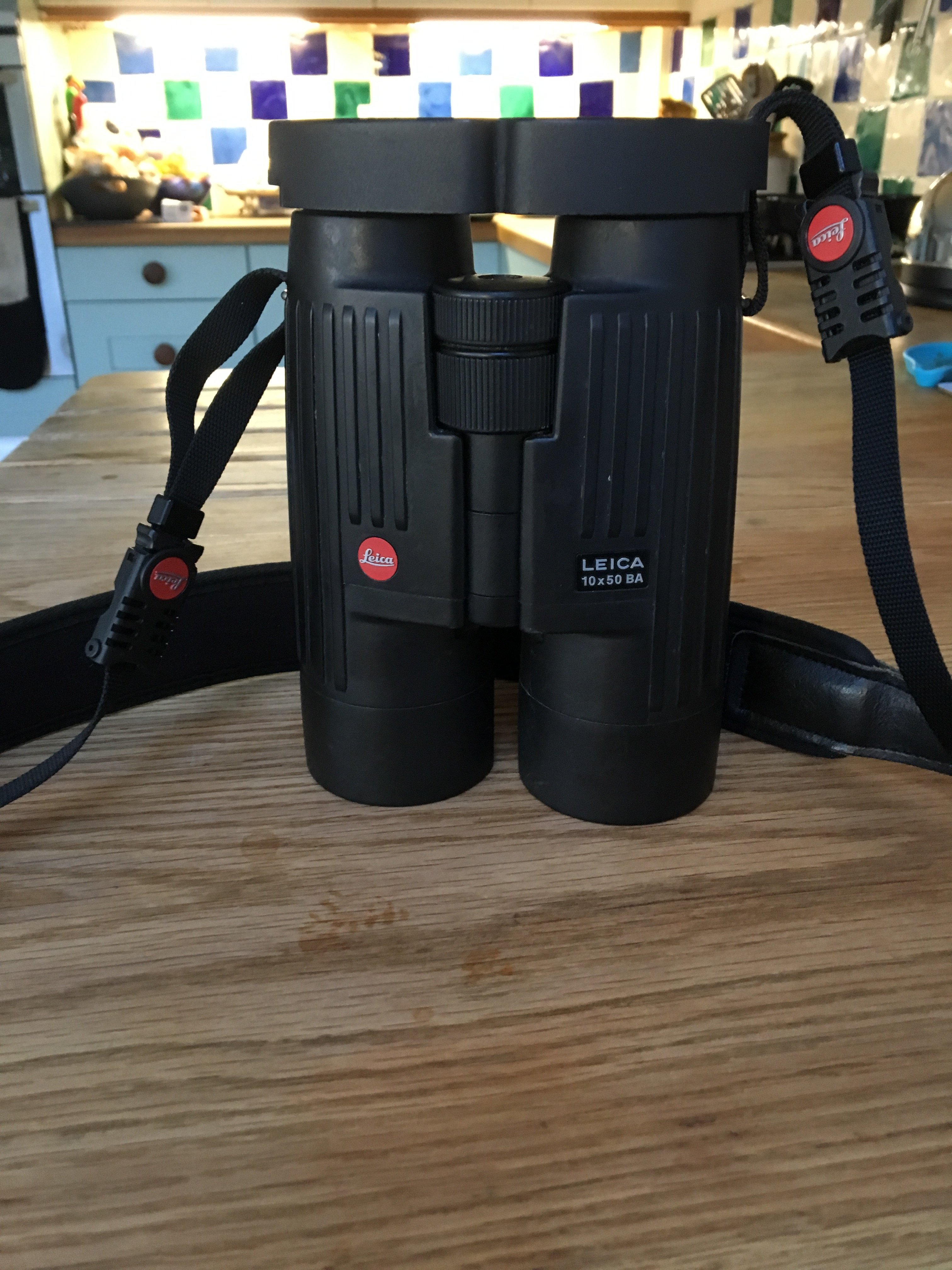Leica 10 x 50 binoculars