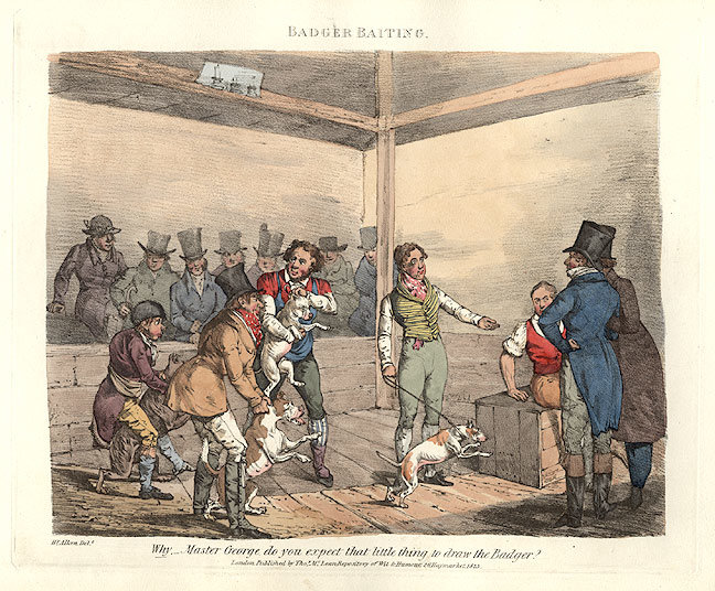 Badger-baiting.jpg.089e705188fa66707c75f16e08115566.jpg