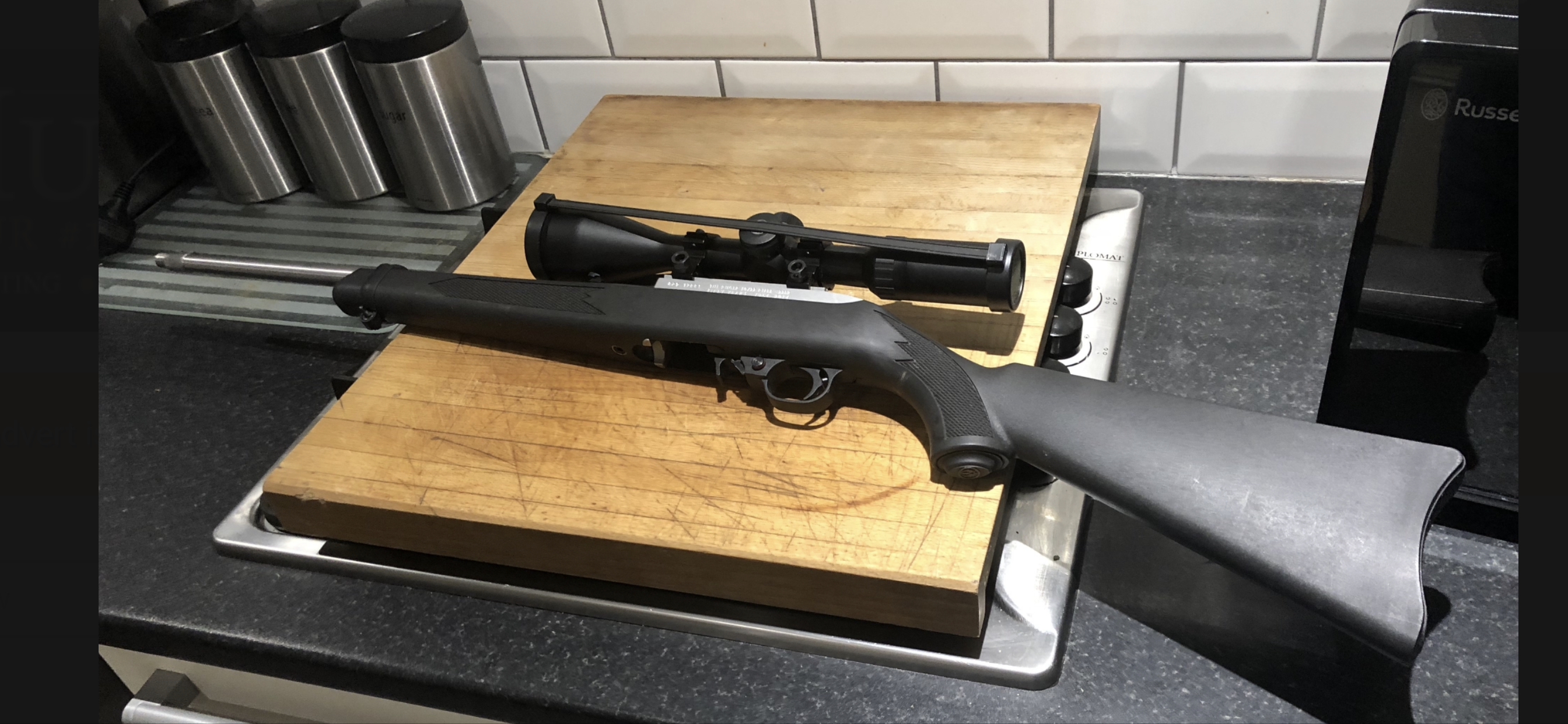 Ruger 10/22