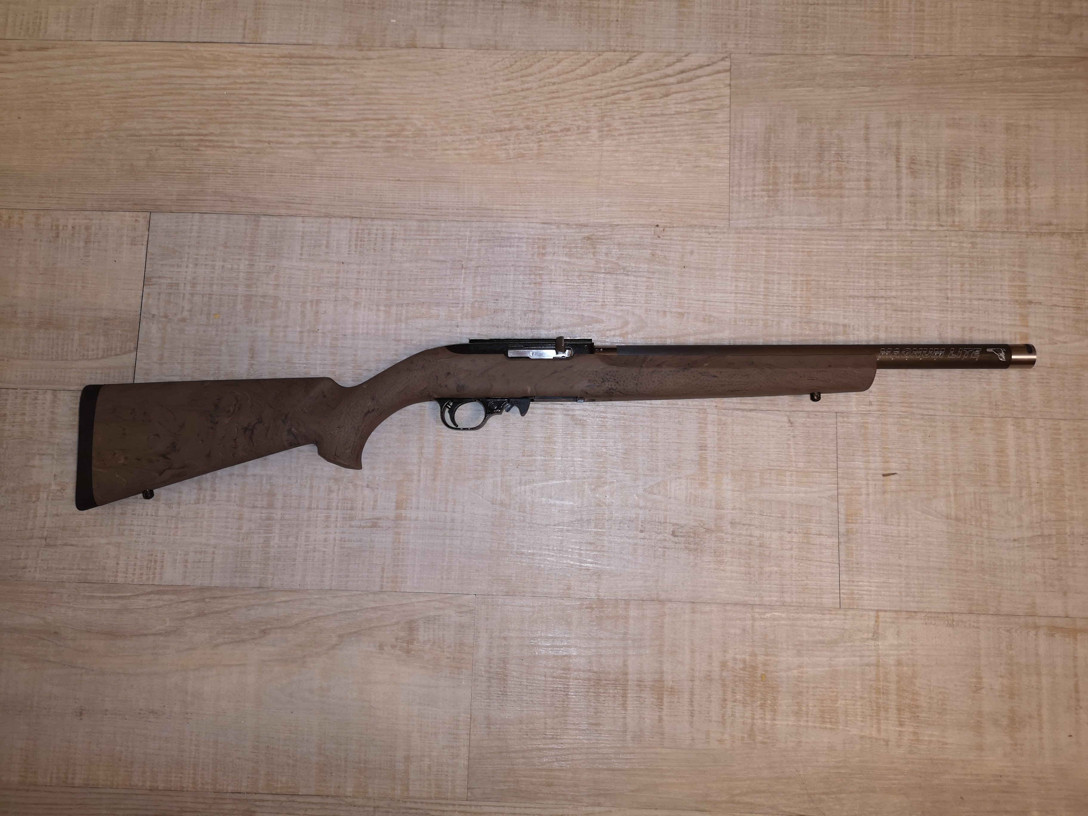 Custom ruger 10/22