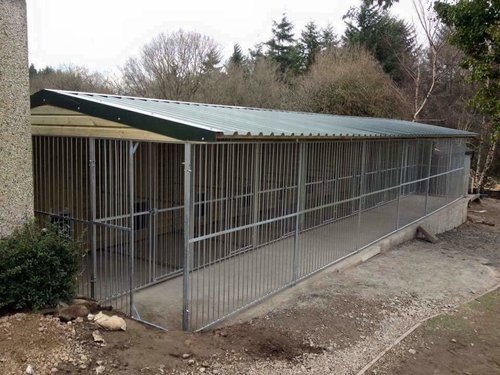 Dog kennels and galvanised runs