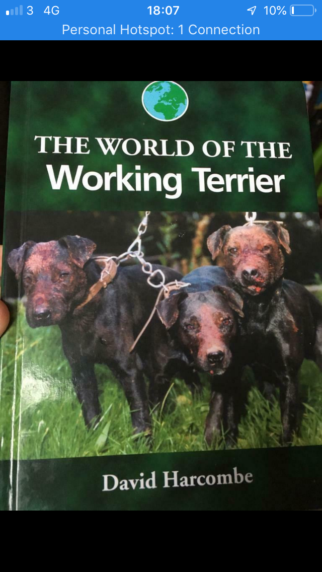 Brand New Terrier Book