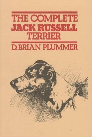 Complete Jack Russell terrier for book exchange