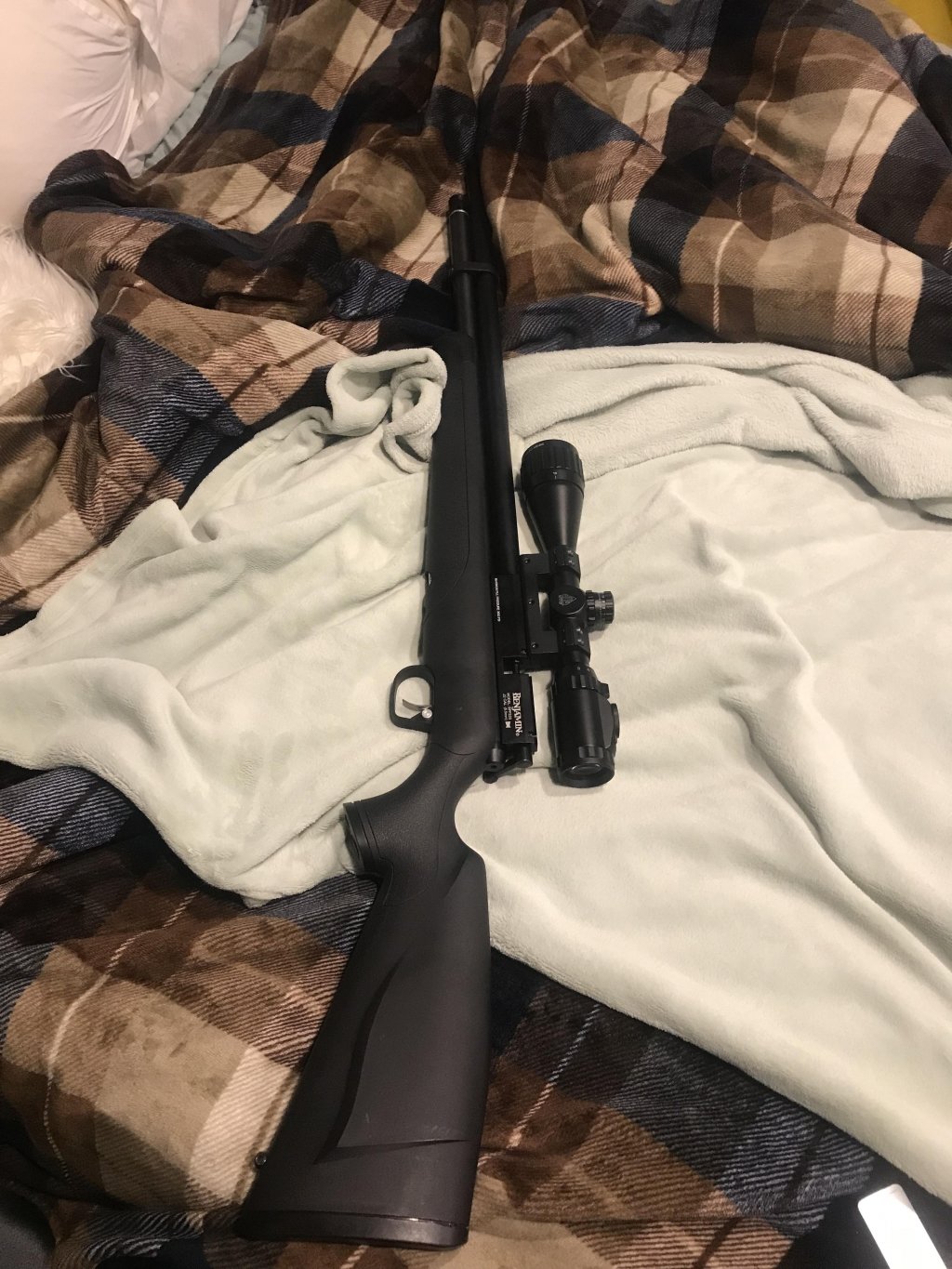 Benjamin Fortitude .22 gen 1