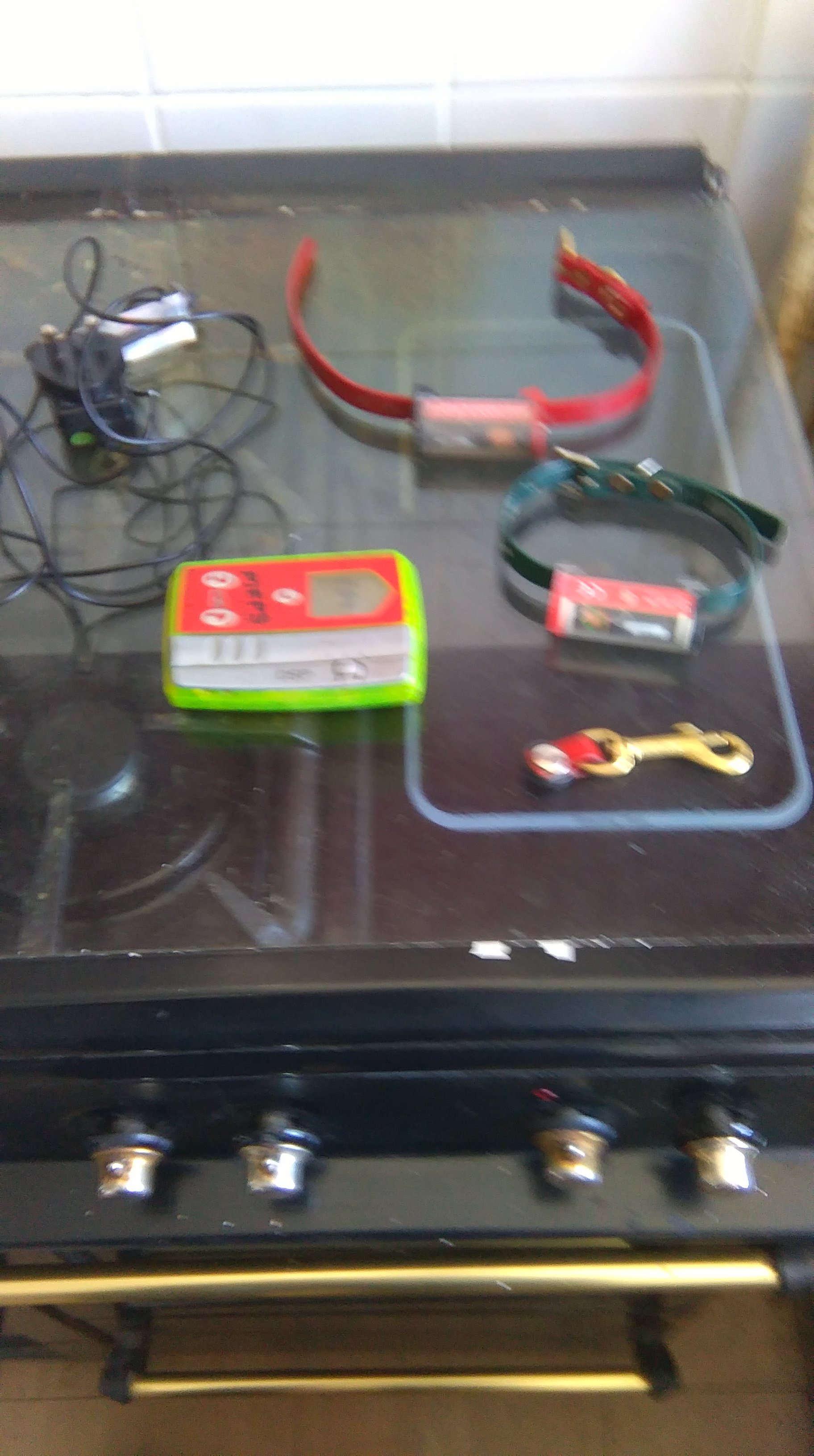 bellman and flint box 2 collars charger and keyring magnet