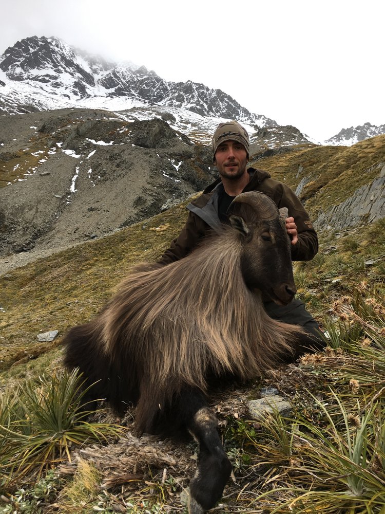 Tahr4.jpg.44af961f648ae3e12a00c80e6b228b78.jpg